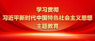 www,爱操学习贯彻习近平新时代中国特色社会主义思想主题教育_fororder_ad-371X160(2)